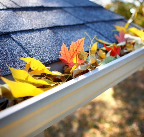 gutter cleaning Blackburn