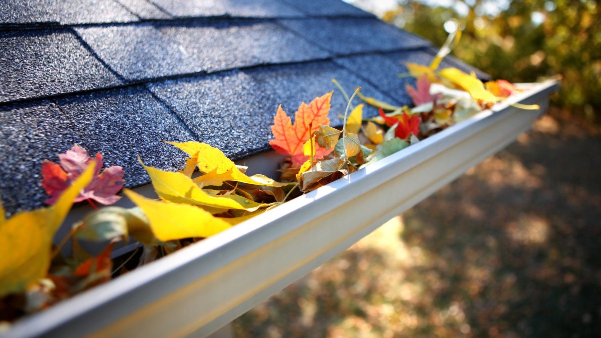 gutter cleaning Blackburn